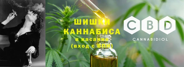 гашик Инсар