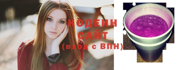 гашик Инсар