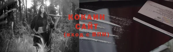 гашик Инсар