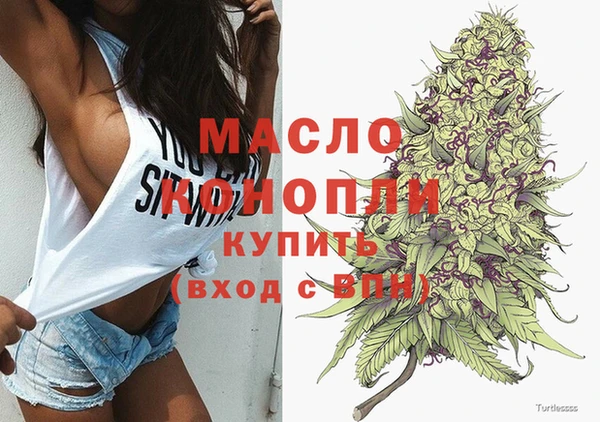 гашик Инсар