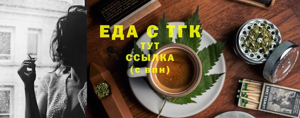 гашик Инсар