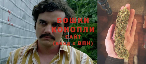 каннабис Инта