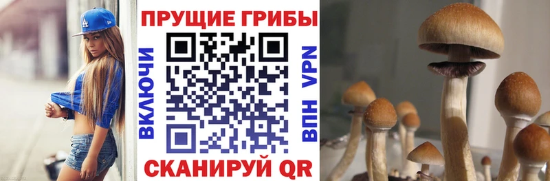 Псилоцибиновые грибы Magic Shrooms  Купить  Бирюсинск 