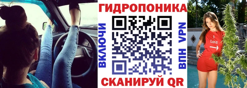 Марихуана план  Купить где  Бирюсинск 